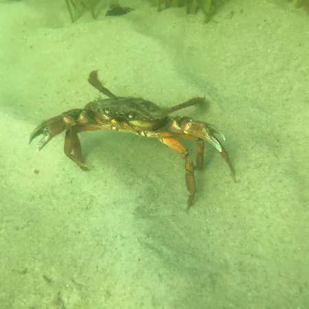 Apartament Matschak Og Rechts *