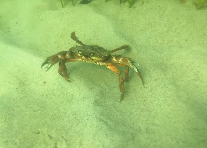 شقة Matschak Og Rechts *